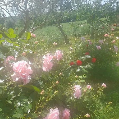 Casale Della Rosa 3*