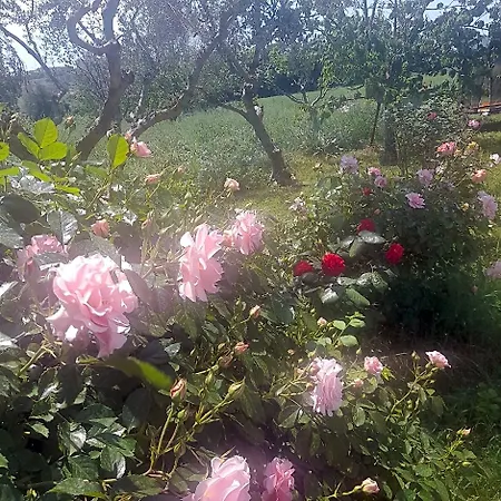 Casale Della Rosa Couette-café Loreto